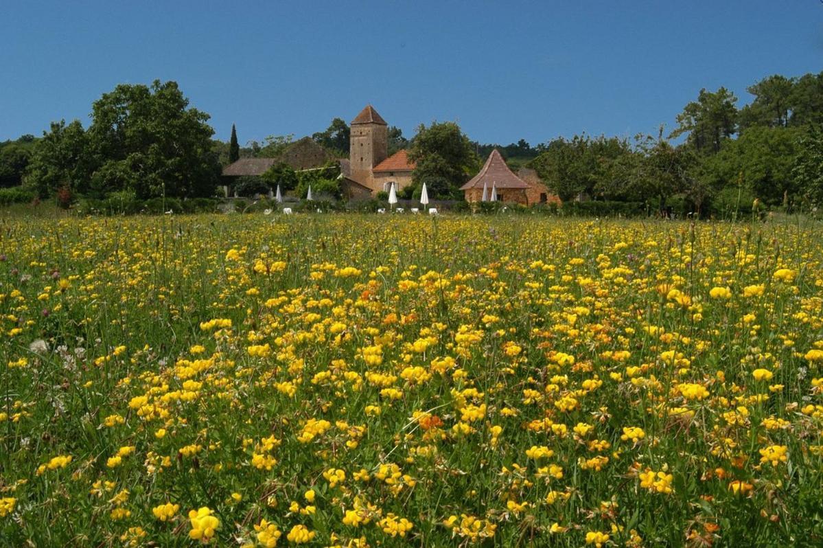 Gites Du Boussagou Marminiac Экстерьер фото